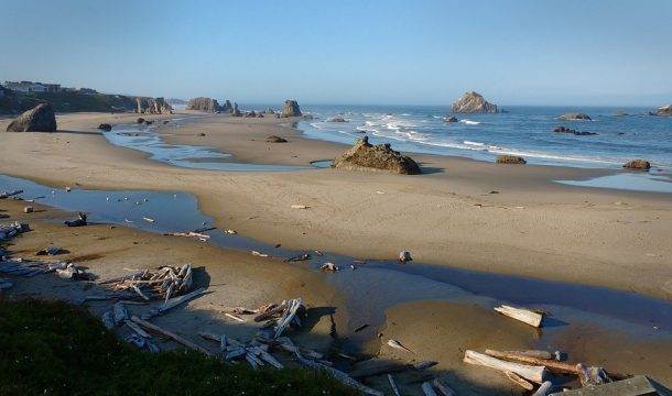 Campsites on the Oregon Coast » Live Camp Work