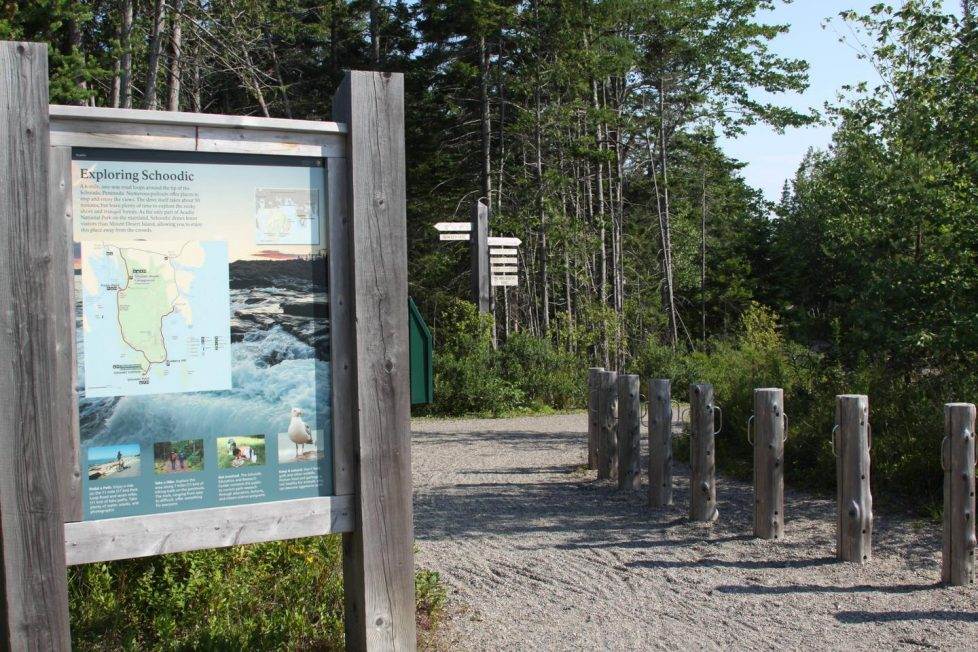 Camping in Acadia National Park Â» Live Camp Work